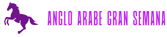 AngloArabeGranSemana.es – Horse Betting